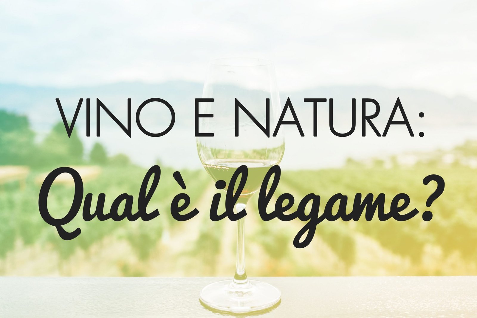 Vino e Natura: Qual è il Legame? - l'ABC del vino - Vita Da Calice