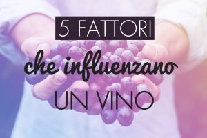 5-fattori-influenzano-vino